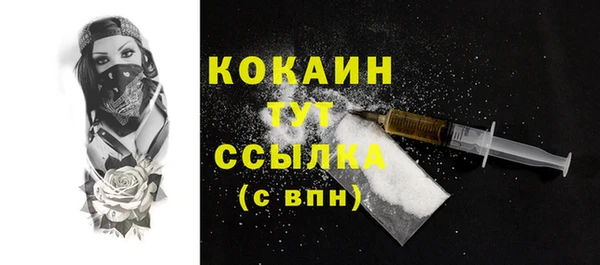 дживик Осинники