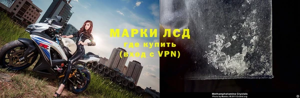 трава Арсеньев