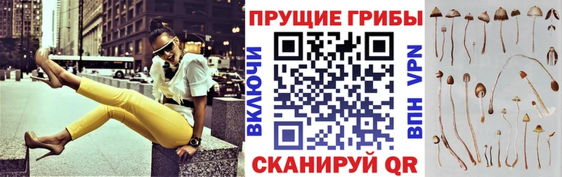 Галлюциногенные грибы мицелий  Нарткала 