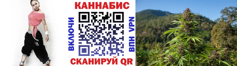 Бошки марихуана AK-47  где можно купить   Нарткала 